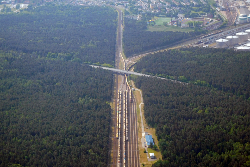 Read more about the article Naujas statusas Girulių miškui – ne išeitis